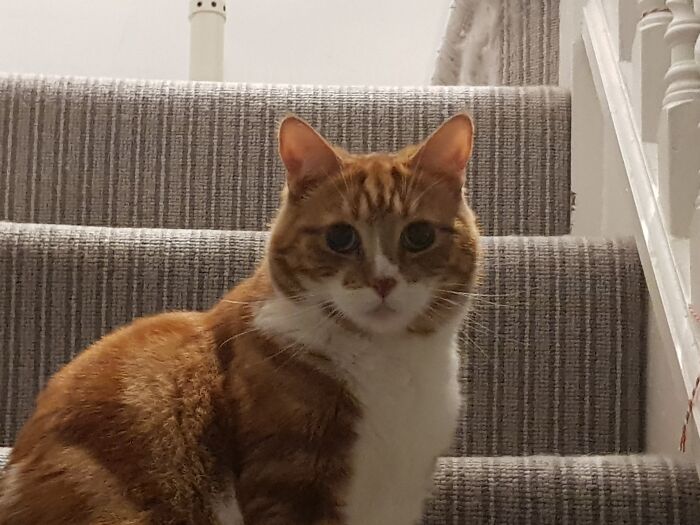 Hey Pandas, What’s The Most Professional-Looking Photo You’ve Taken With Your Phone? (Closed) Hey Pandas, What’s The Most Professional-Looking Photo You’ve Taken With Your Phone? (Closed)