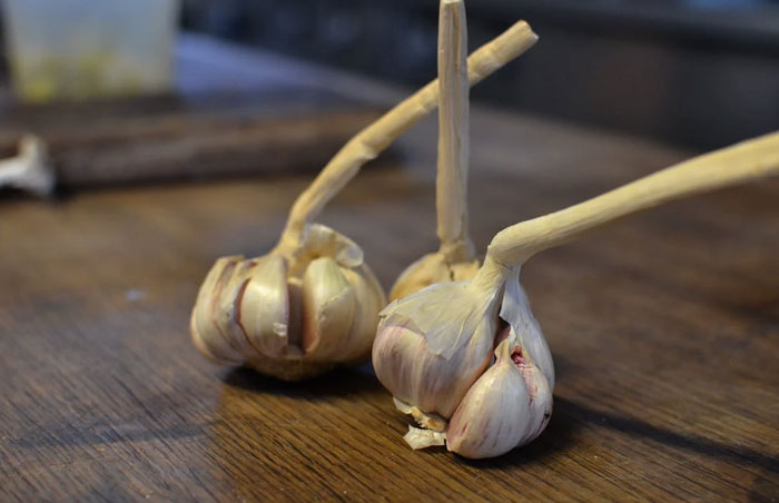 30 Doctors Share The Stupidest Thing They&#8217;ve Heard From People Who &#8216;Read It On The Internet&#8217;