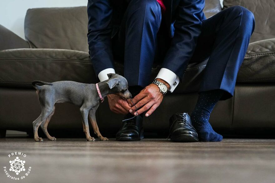 28 Winning Wedding Photographs That Captured Love, Couples And Weddings As Shared By FdB Awards