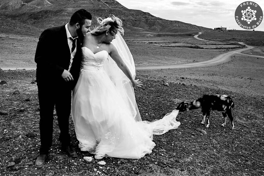 28 Winning Wedding Photographs That Captured Love, Couples And Weddings As Shared By FdB Awards