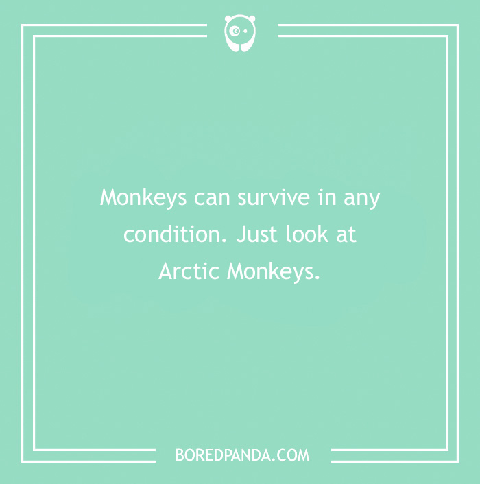 111 Funny Musician Jokes To End Your Day On A High Note 111 Funny Musician Jokes To End Your Day On A High Note