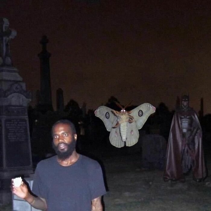 &#8220;I Would Prefer Not To&#8221;: 50 Pics That Might Confuse You Or Make You Laugh