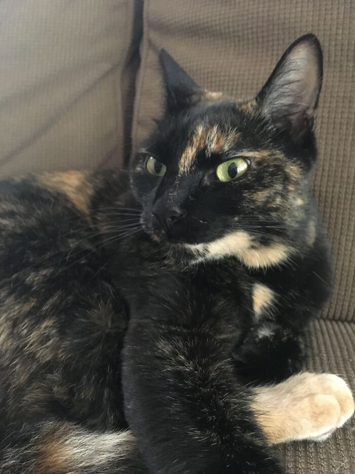 Here Are Some Photos Of My Pets To Hopefully Brighten Your Day (20 Pics) Here Are Some Photos Of My Pets To Hopefully Brighten Your Day (20 Pics)