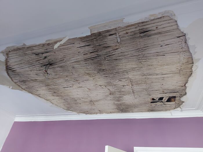 Hey Pandas, Show Me The Most Disturbing Thing In Your House (Closed) Hey Pandas, Show Me The Most Disturbing Thing In Your House (Closed)