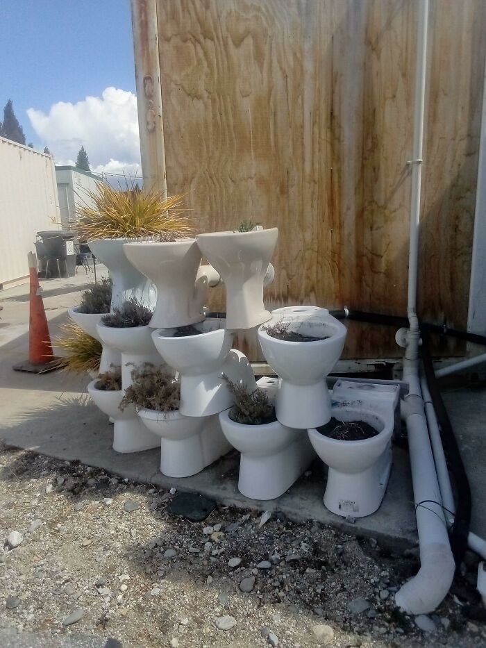 50 Random And Unhinged Things People Gave To Charity Shops That Confused Or Cracked Buyers Up 50 Random And Unhinged Things People Gave To Charity Shops That Confused Or Cracked Buyers Up