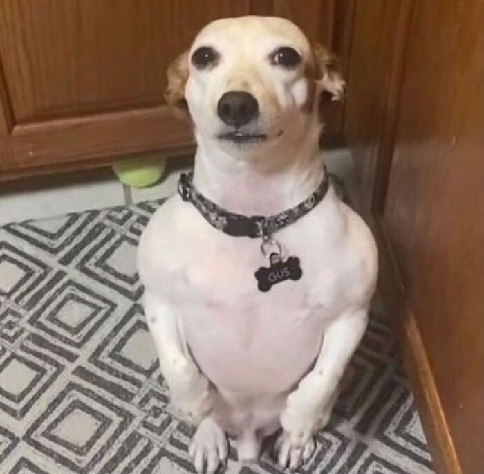 This Instagram Account Is Dedicated To “Cursed” Content, And Here Are 50 Of Their Most Baffling Posts This Instagram Account Is Dedicated To “Cursed” Content, And Here Are 50 Of Their Most Baffling Posts