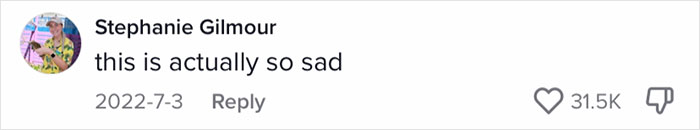 Family Of 12 Shows How They Manage To Travel In A 30-Foot Trailer And People Online Don’t Approve