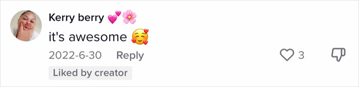 Family Of 12 Shows How They Manage To Travel In A 30-Foot Trailer And People Online Don’t Approve