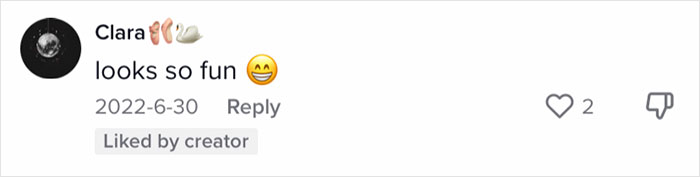 Family Of 12 Shows How They Manage To Travel In A 30-Foot Trailer And People Online Don’t Approve