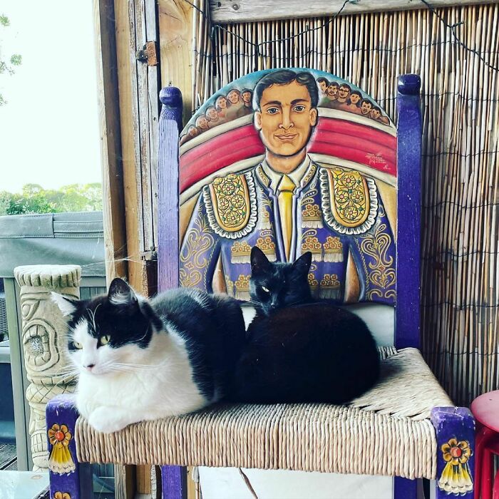 120 Of The Weirdest Chairs That We’ve Ever Laid Our Eyes On