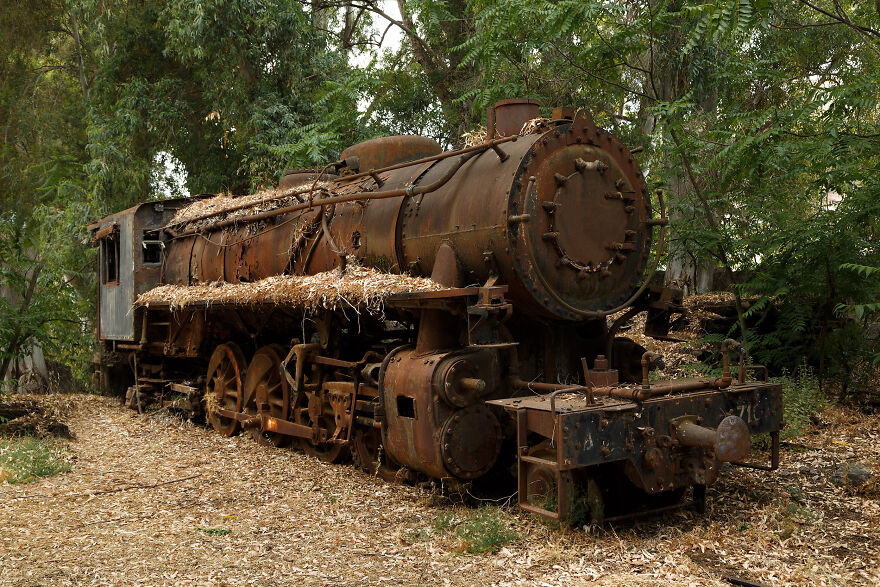 Ghostly Remains: I Took 15 Pictures Of Abandoned Trains