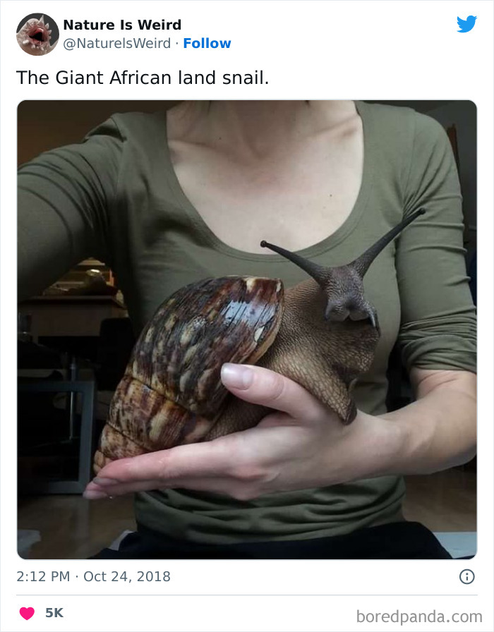 “Nature Is Weird”: 50 Interesting Pics And Facts About Mother Nature Shared By This Account “Nature Is Weird”: 50 Interesting Pics And Facts About Mother Nature Shared By This Account