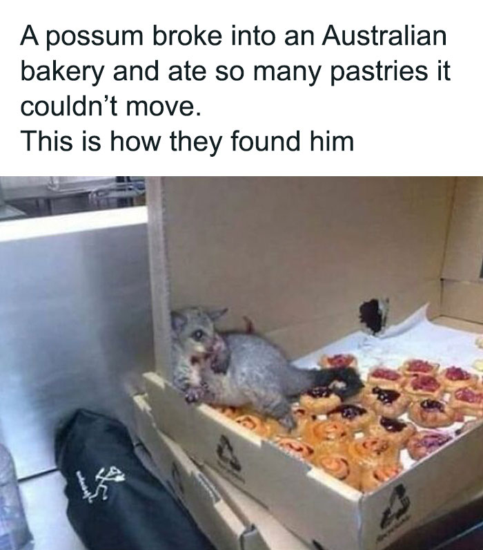 50 Hilariously Relatable Memes About Food Shared On This FB Page (New Pics) 50 Hilariously Relatable Memes About Food Shared On This FB Page (New Pics)