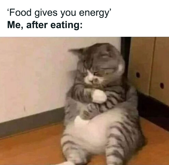 50 Hilariously Relatable Memes About Food Shared On This FB Page (New Pics) 50 Hilariously Relatable Memes About Food Shared On This FB Page (New Pics)