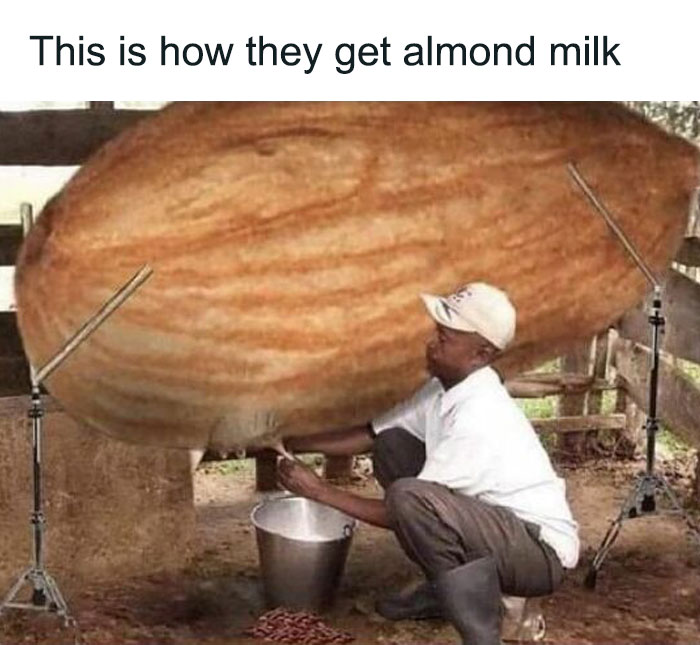 50 Hilariously Relatable Memes About Food Shared On This FB Page (New Pics) 50 Hilariously Relatable Memes About Food Shared On This FB Page (New Pics)