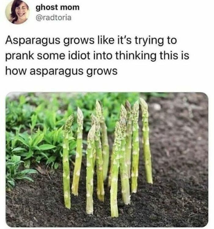 50 Hilariously Relatable Memes About Food Shared On This FB Page (New Pics) 50 Hilariously Relatable Memes About Food Shared On This FB Page (New Pics)