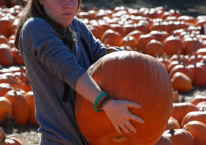“Do Not Speak To Me”: Girl Is Sick And Tired Of Boy’s Attention, Writes Him A List Of Rules To Follow Around Her “Do Not Speak To Me”: Girl Is Sick And Tired Of Boy’s Attention, Writes Him A List Of Rules To Follow Around Her