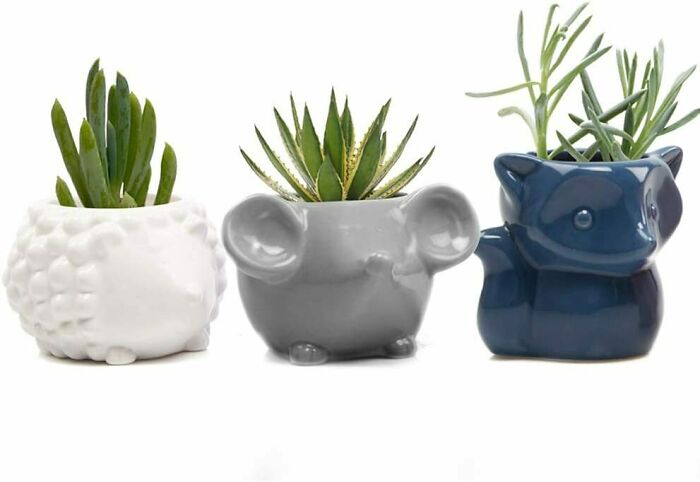 95 Funny Gag Gifts For Friends To Leave Them Grinning All Day