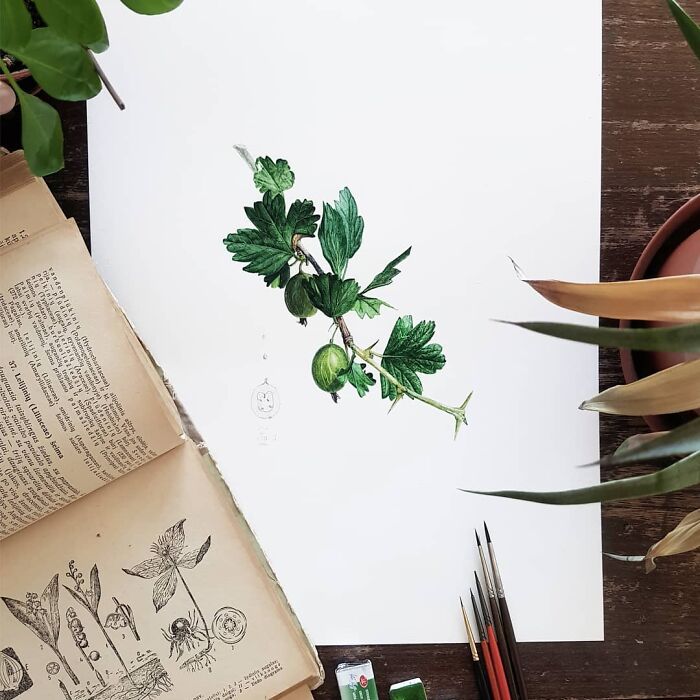 My Botanical Watercolor Illustrations Focus On Plants I Grow In My Own Garden, And Here Are My 37 Best Works My Botanical Watercolor Illustrations Focus On Plants I Grow In My Own Garden, And Here Are My 37 Best Works