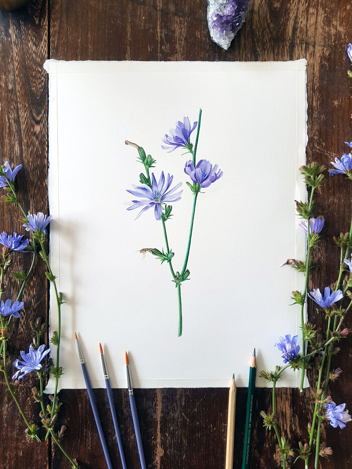 My Botanical Watercolor Illustrations Focus On Plants I Grow In My Own Garden, And Here Are My 37 Best Works My Botanical Watercolor Illustrations Focus On Plants I Grow In My Own Garden, And Here Are My 37 Best Works