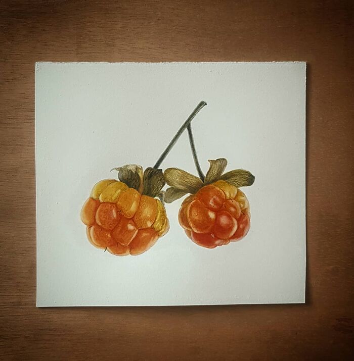 My Botanical Watercolor Illustrations Focus On Plants I Grow In My Own Garden, And Here Are My 37 Best Works My Botanical Watercolor Illustrations Focus On Plants I Grow In My Own Garden, And Here Are My 37 Best Works