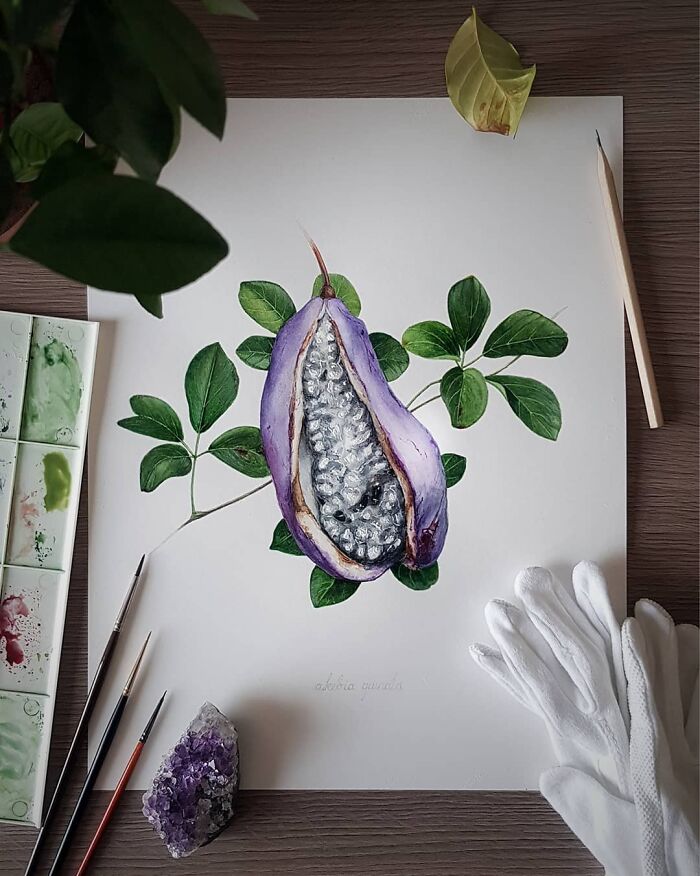 My Botanical Watercolor Illustrations Focus On Plants I Grow In My Own Garden, And Here Are My 37 Best Works My Botanical Watercolor Illustrations Focus On Plants I Grow In My Own Garden, And Here Are My 37 Best Works