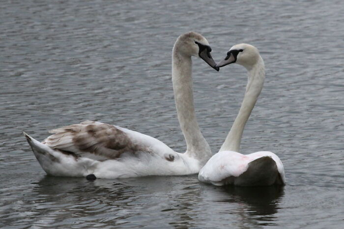 Somebody Asked Men Online “What Male Stereotypes Don’t Apply To You?”, 33 Delivered Somebody Asked Men Online “What Male Stereotypes Don’t Apply To You?”, 33 Delivered