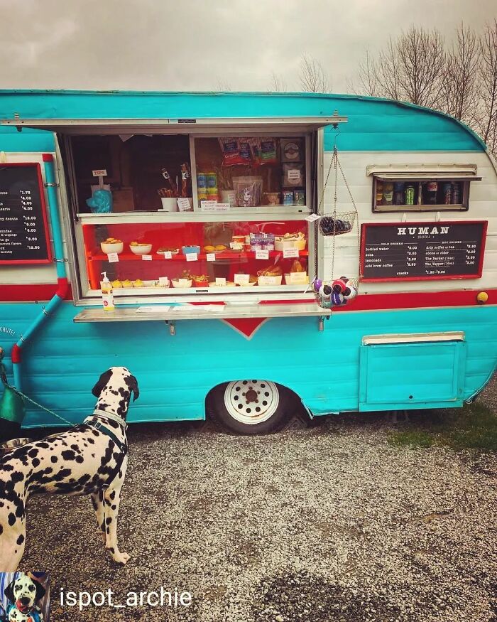 I Have Discovered 12 Unusual But Cool Food Trucks Around The Us I Have Discovered 12 Unusual But Cool Food Trucks Around The Us
