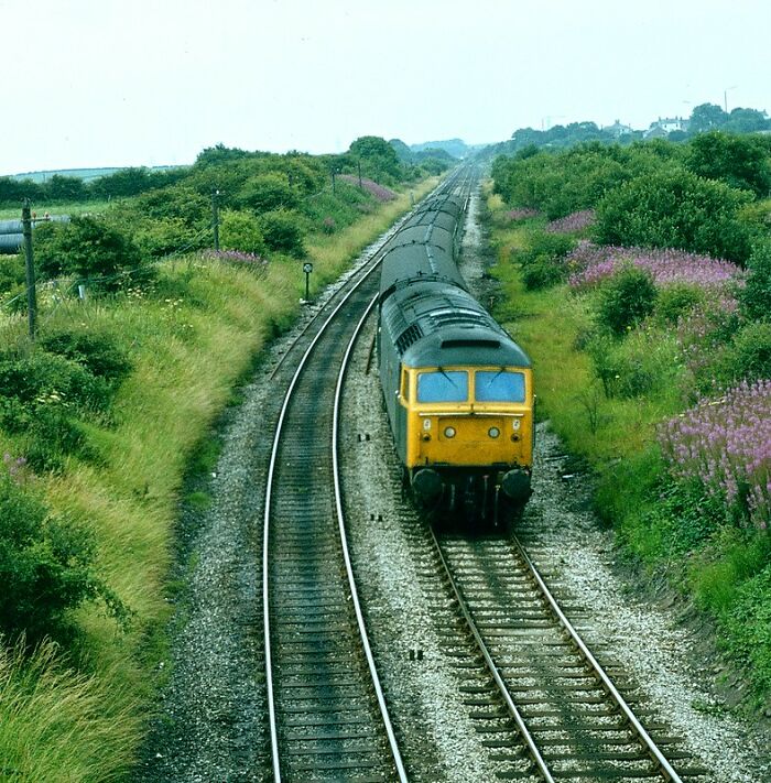 25 Of The Most Controversial Mysteries And Tales From Disney Park Staff And Visitors 25 Of The Most Controversial Mysteries And Tales From Disney Park Staff And Visitors