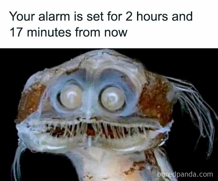 &#8220;The Narcoleptic Goddess&#8221; Facebook Page Is Dedicated To Funny And Relatable Memes, And Here Are 50 Of The Best Ones
