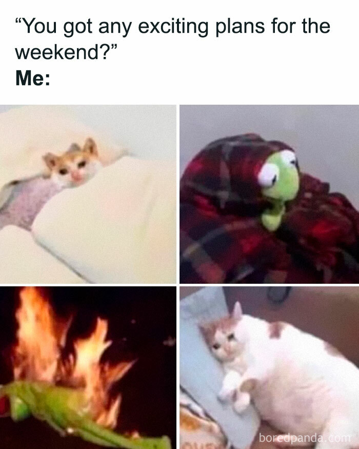 &#8220;The Narcoleptic Goddess&#8221; Facebook Page Is Dedicated To Funny And Relatable Memes, And Here Are 50 Of The Best Ones