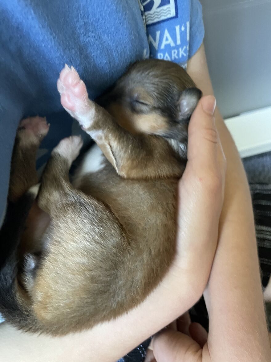 Hey Pandas! Here Are Some Photos Of My Summer Last Year On A Farm (24 Pics) Hey Pandas! Here Are Some Photos Of My Summer Last Year On A Farm (24 Pics)