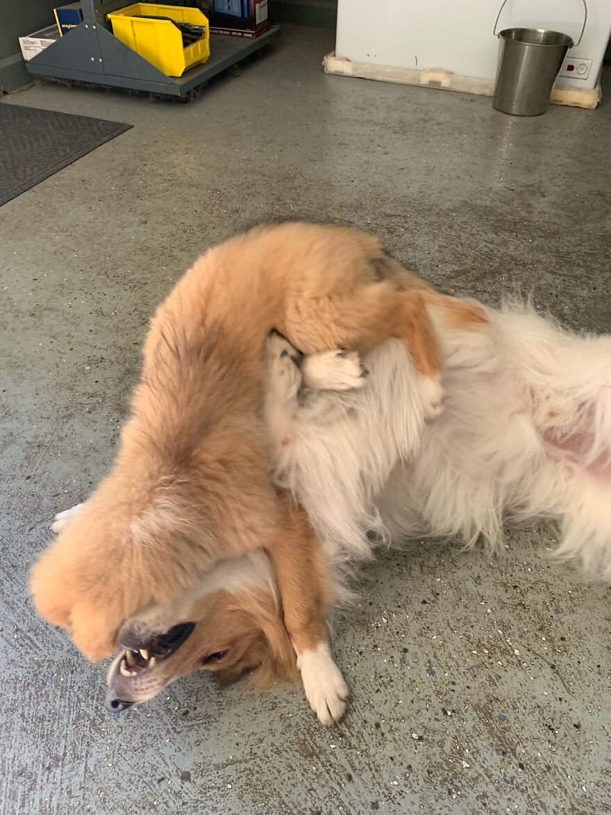 Hey Pandas! Here Are Some Photos Of My Summer Last Year On A Farm (24 Pics) Hey Pandas! Here Are Some Photos Of My Summer Last Year On A Farm (24 Pics)