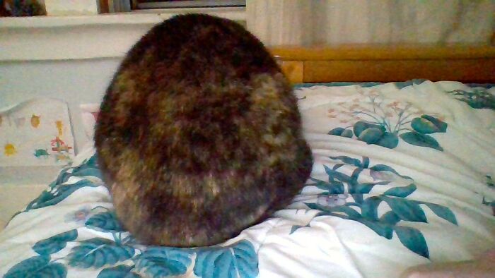 Hey Pandas, What Is Something In Your House That Surprises Everyone Who Visits? Hey Pandas, What Is Something In Your House That Surprises Everyone Who Visits?