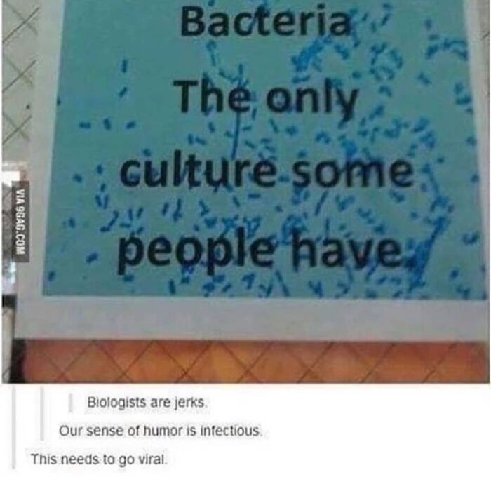 50 Spot-On Science Memes That Might Make You Feel Smarter 50 Spot-On Science Memes That Might Make You Feel Smarter