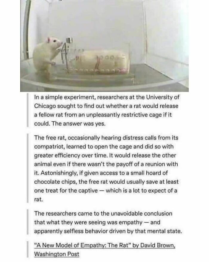 50 Spot-On Science Memes That Might Make You Feel Smarter 50 Spot-On Science Memes That Might Make You Feel Smarter