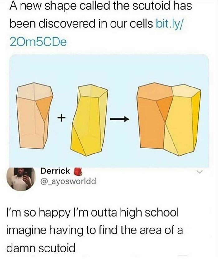 50 Spot-On Science Memes That Might Make You Feel Smarter 50 Spot-On Science Memes That Might Make You Feel Smarter