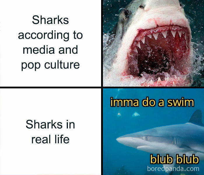 50 Spot-On Science Memes That Might Make You Feel Smarter 50 Spot-On Science Memes That Might Make You Feel Smarter