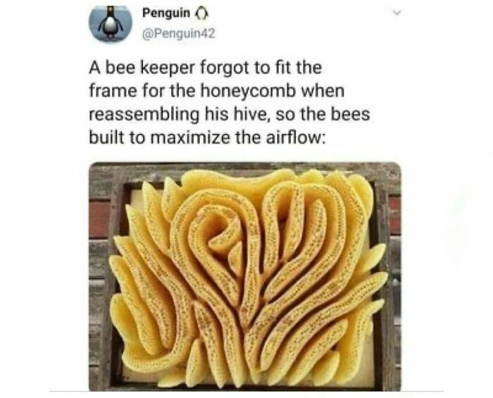 50 Spot-On Science Memes That Might Make You Feel Smarter 50 Spot-On Science Memes That Might Make You Feel Smarter