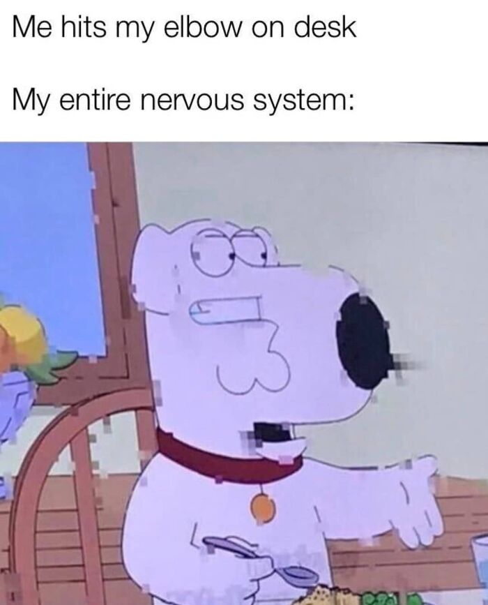 50 Spot-On Science Memes That Might Make You Feel Smarter 50 Spot-On Science Memes That Might Make You Feel Smarter