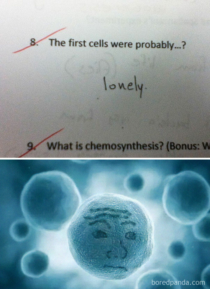 50 Spot-On Science Memes That Might Make You Feel Smarter 50 Spot-On Science Memes That Might Make You Feel Smarter