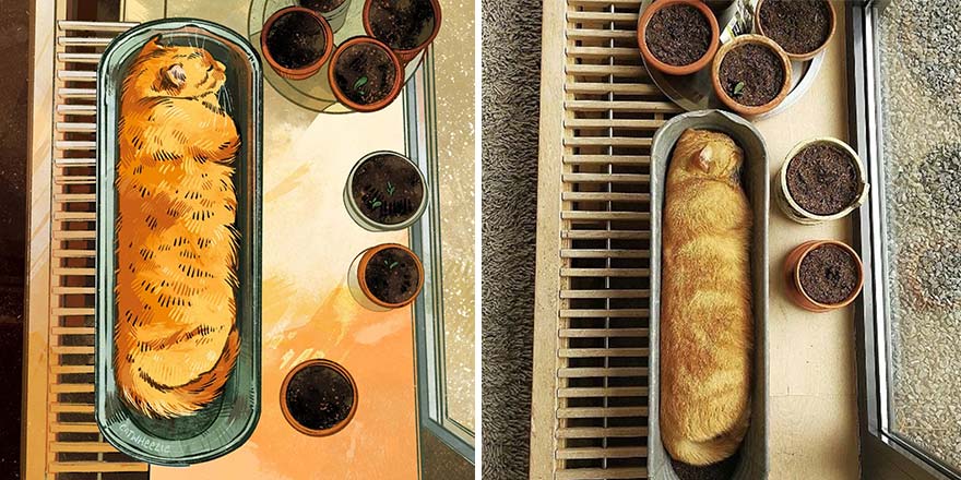 32 Of The Funniest Internet-Famous Cat Pics Get Illustrated By Catwheezie (New Pics)