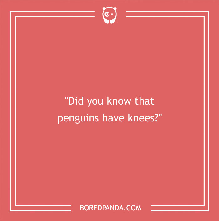 150 Funny Conversation Starters To Break The Ice Smoothly