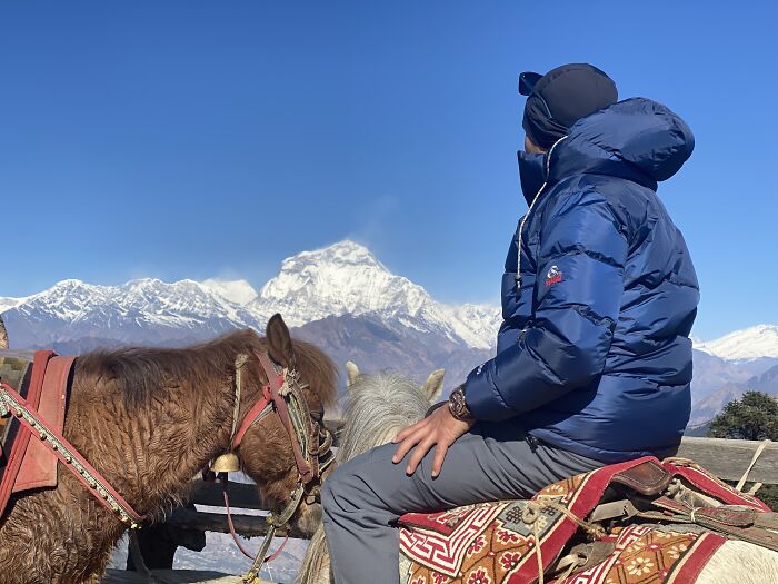 I Spent My Week Hiking The Ghorepani Poon Hill Route In Nepal With A Dog I Spent My Week Hiking The Ghorepani Poon Hill Route In Nepal With A Dog