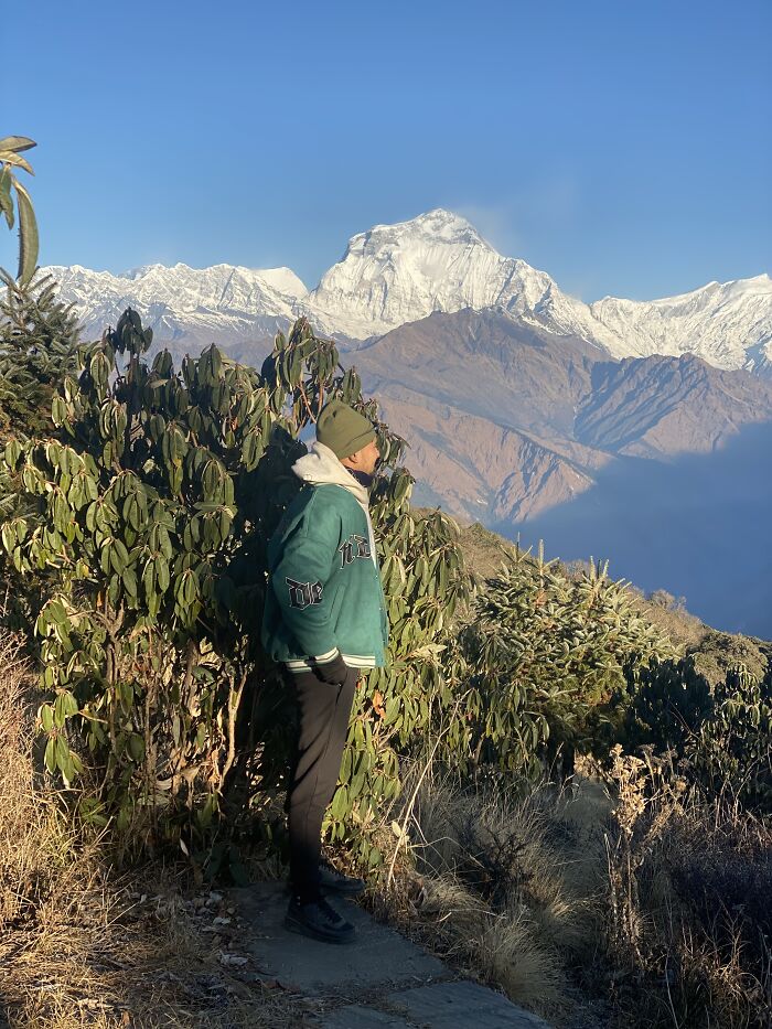 I Spent My Week Hiking The Ghorepani Poon Hill Route In Nepal With A Dog I Spent My Week Hiking The Ghorepani Poon Hill Route In Nepal With A Dog