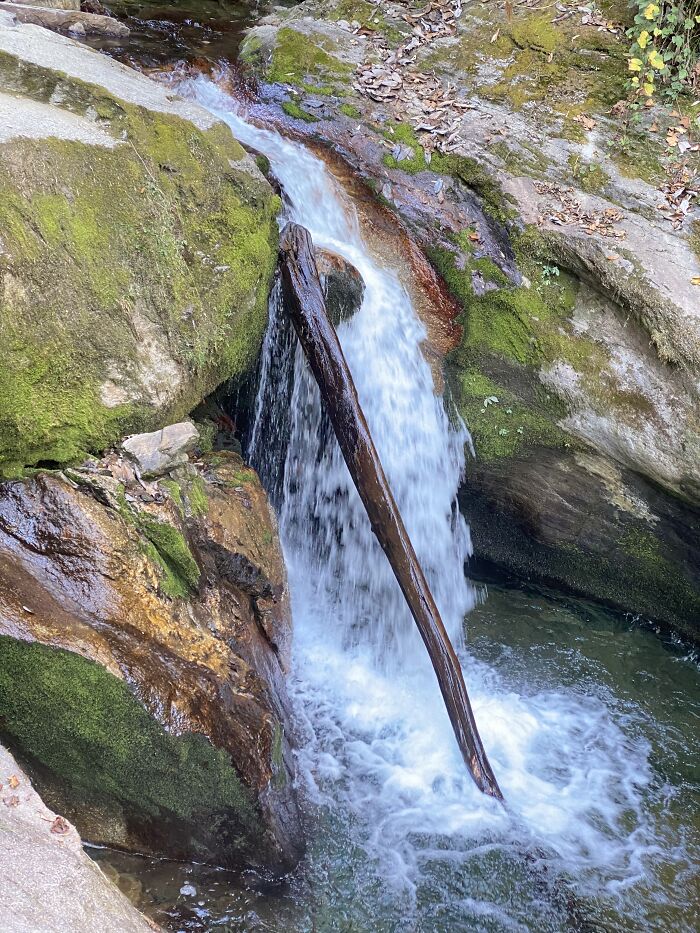 I Spent My Week Hiking The Ghorepani Poon Hill Route In Nepal With A Dog I Spent My Week Hiking The Ghorepani Poon Hill Route In Nepal With A Dog