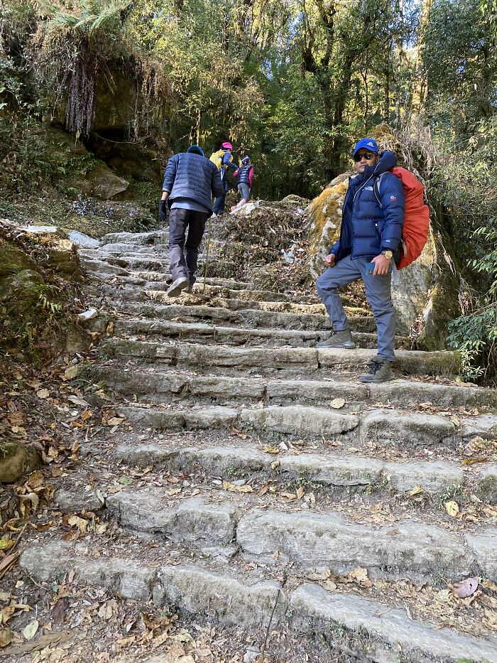 I Spent My Week Hiking The Ghorepani Poon Hill Route In Nepal With A Dog I Spent My Week Hiking The Ghorepani Poon Hill Route In Nepal With A Dog