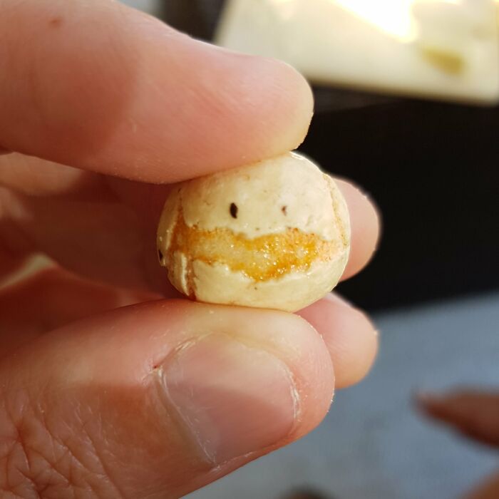 I Notice And Photograph Funny Examples Of Pareidolia In Everyday Objects (30 Pics) I Notice And Photograph Funny Examples Of Pareidolia In Everyday Objects (30 Pics)