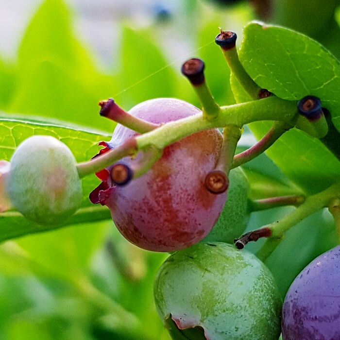 I Notice And Photograph Funny Examples Of Pareidolia In Everyday Objects (30 Pics) I Notice And Photograph Funny Examples Of Pareidolia In Everyday Objects (30 Pics)