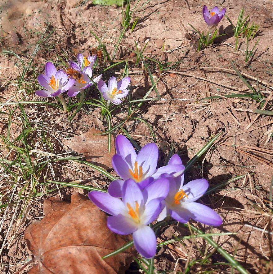 Hey Pandas, Post The Best Photographs You Took In February Hey Pandas, Post The Best Photographs You Took In February